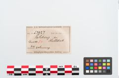 Etiketten zu Bronzehohlblecharmring (NHMW-PRAE-023927)